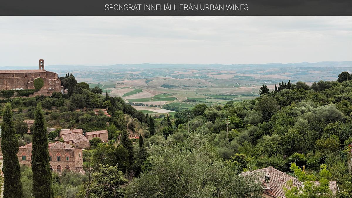 Brunello di Montalcino