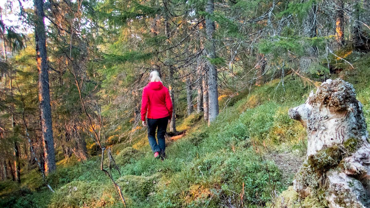 Att vistas i naturen tre eller fyra gånger i veckan kan minska behovet av vissa läkemedel