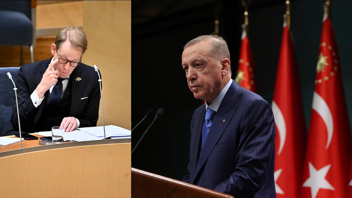 Billström minister regeringen Nato Erdogan
