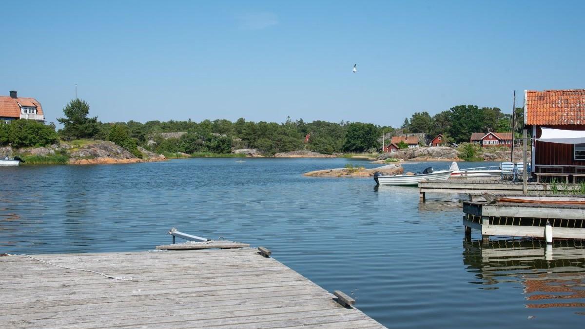 Harö