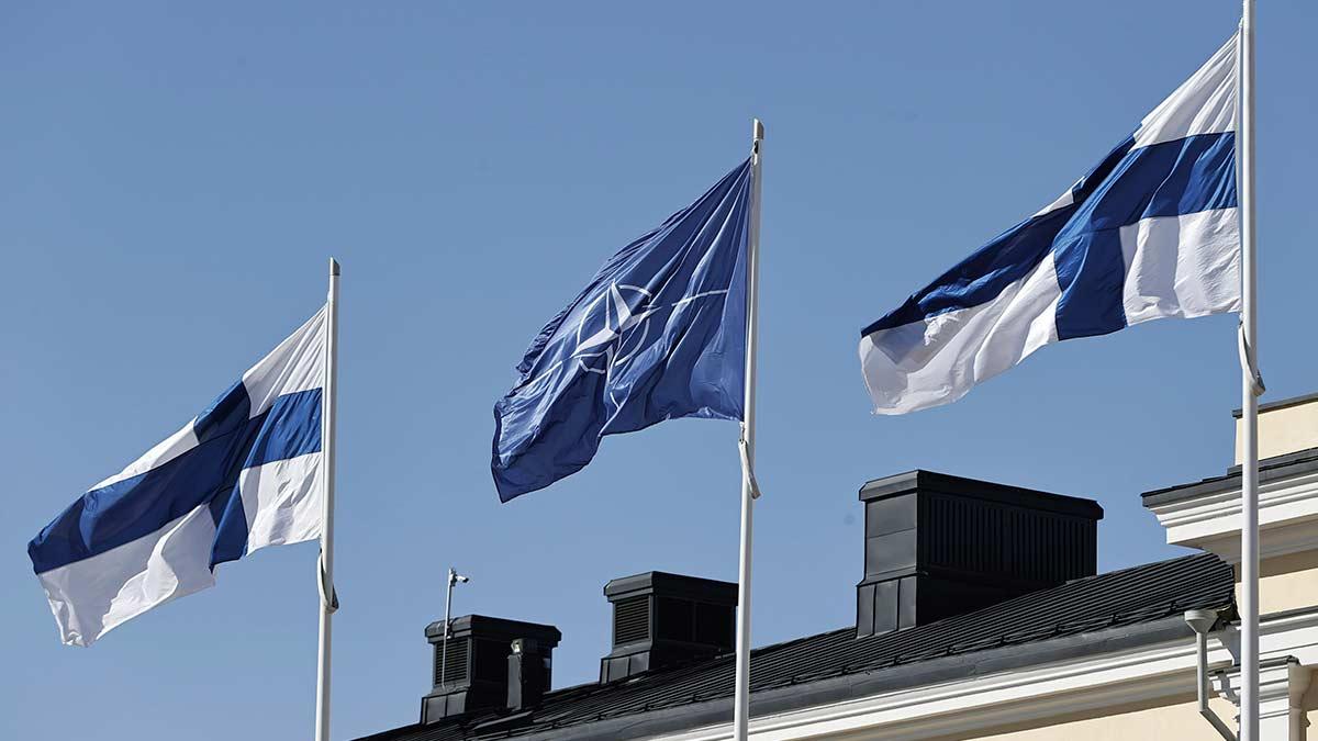 Nato