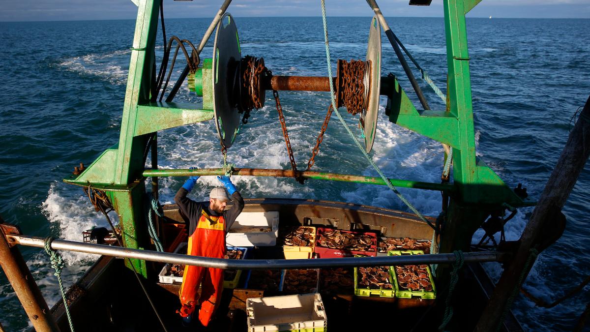 En utredning föreslår regler om ett generellt förbud mot bottentrålning i marina skyddade områden innanför trålgränsen