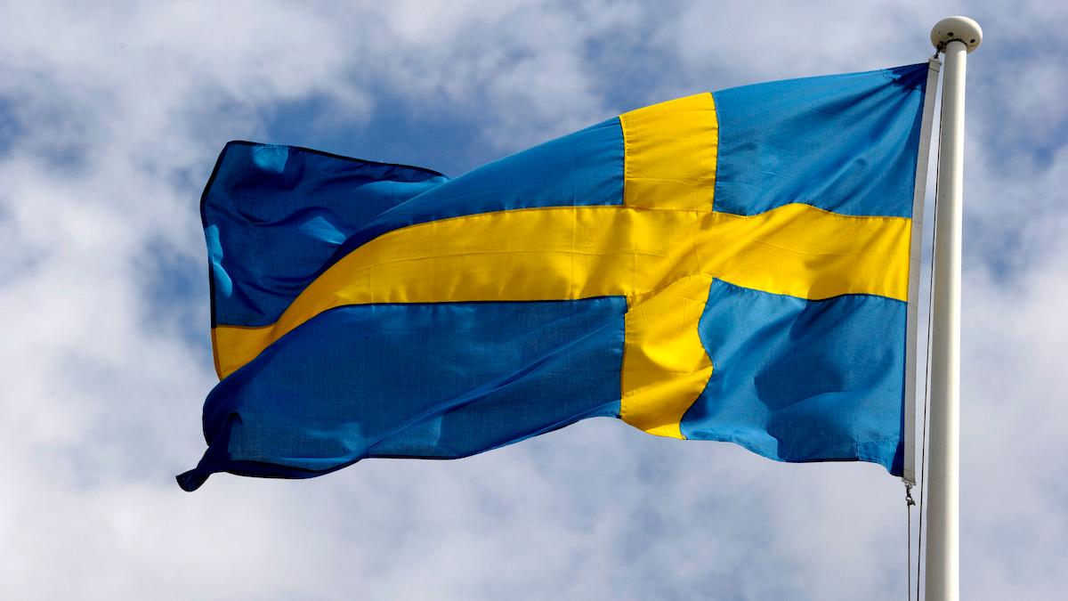 Svenska försvaret åderlåts