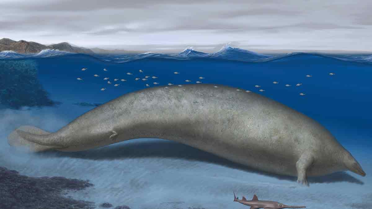 tyngsta