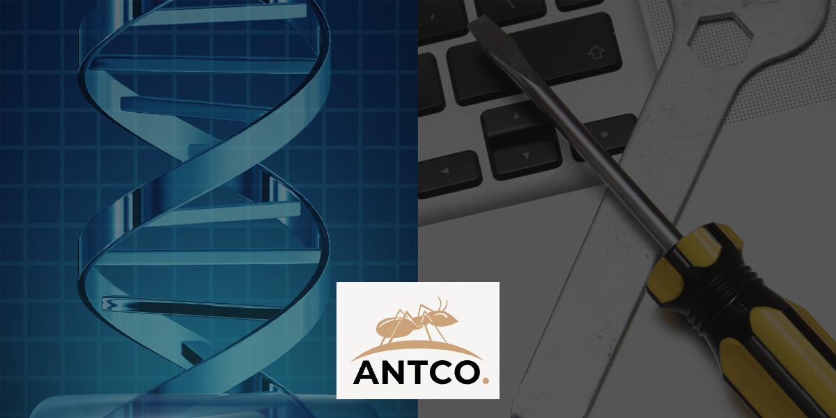 ANTCO Investment Group