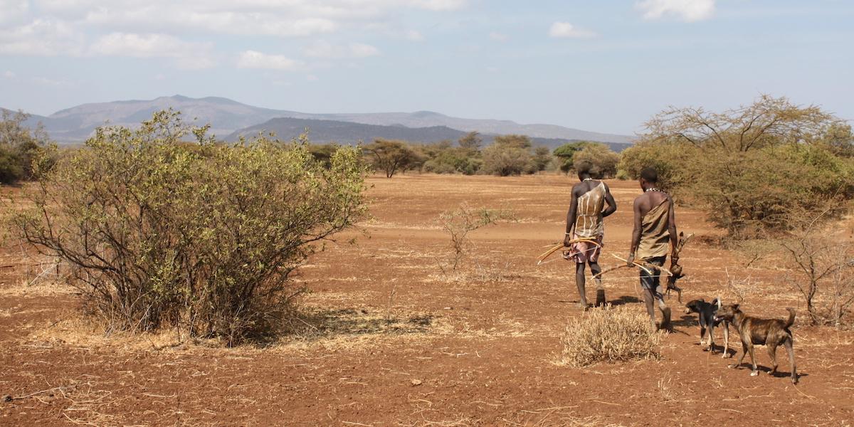 Två män från samlar-jägarfolket Hadzabe i Tanzania bär hem dagens fångst. Nu har en studie kopplat ADHD till något som gav en överlevnadsfördel när vi levde som jägare och samlare