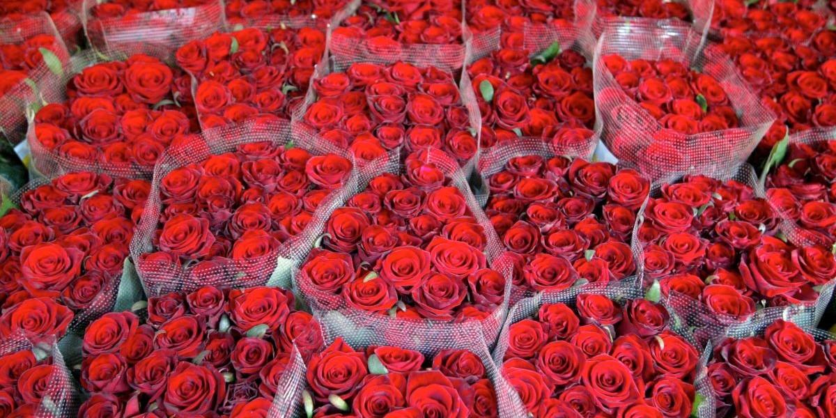 Rosor innehåller spår av mängder av bekämpningsmedel