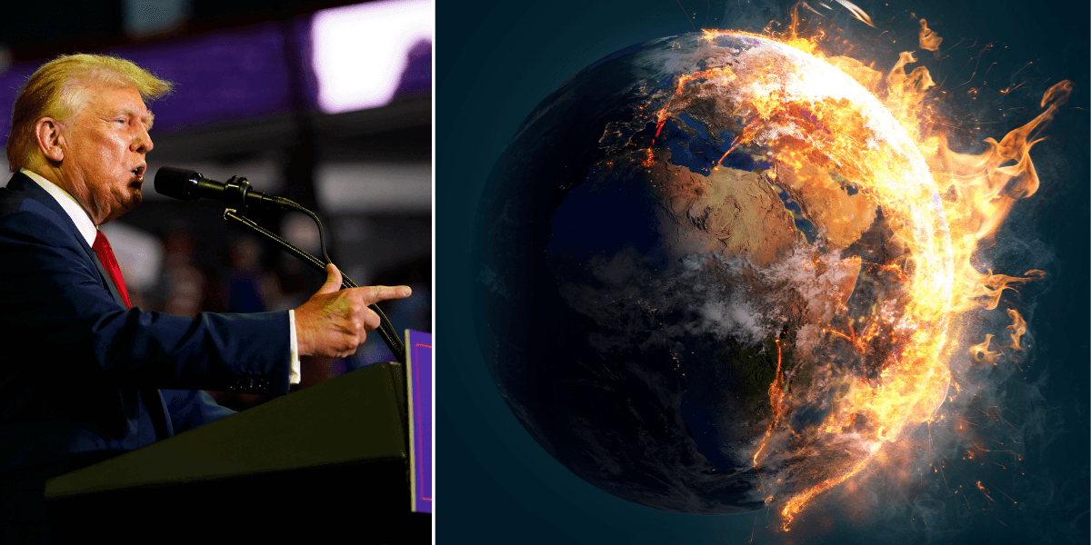 Vem ska vinna när Trump gör handeln dyrare för hela världen?