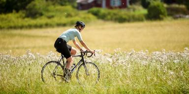 Välbärgade lever sundare - och längre