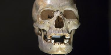 Trots rasfrågan så är den "biologiska verkligheten" att vi alla tillhör Homo sapiens.