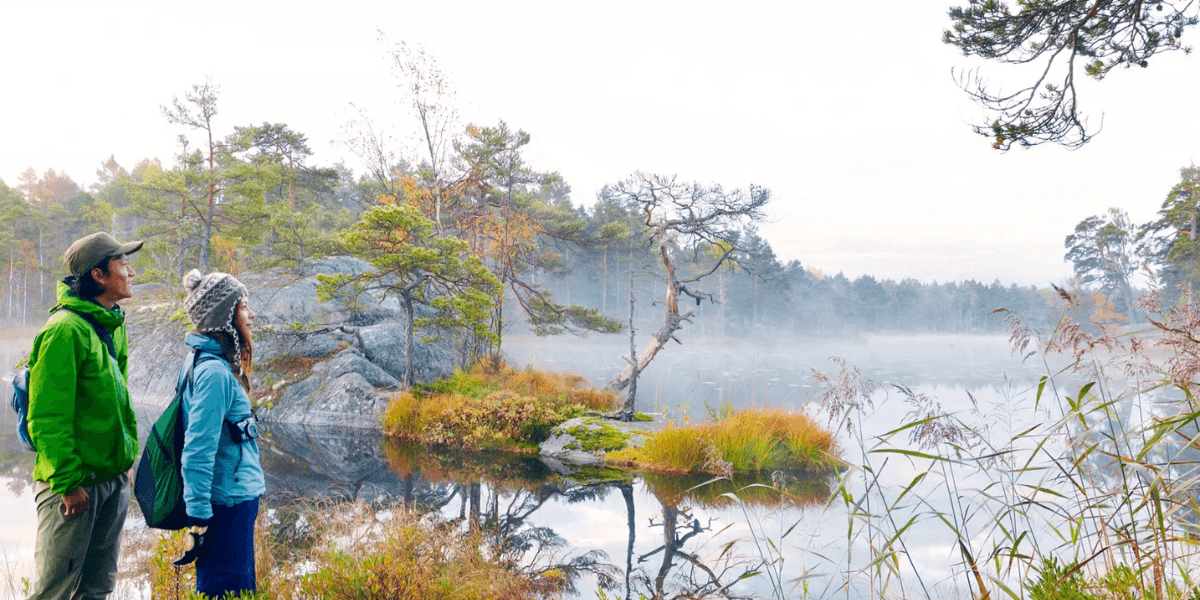 Skog i Tyresta