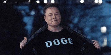 Doge Elon musk