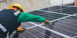 Solceller har rasat i pris – men är det verkligen lönsamt? 
