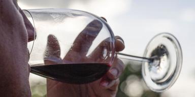 Stora mängder PFAS-ämnen i populära rödviner