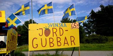 5,3 miljoner svenska odlare ska bli en del av försvaret