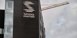 "Svenska kraftnät kan driva företag i konkurs"
