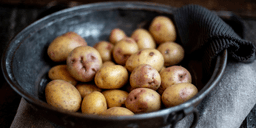 Kockarnas hemlighet: detta ska alltid ner i vattnet med potatis