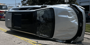 En vält Kia för en insekt. (Foto: Blue Ash Police Department)