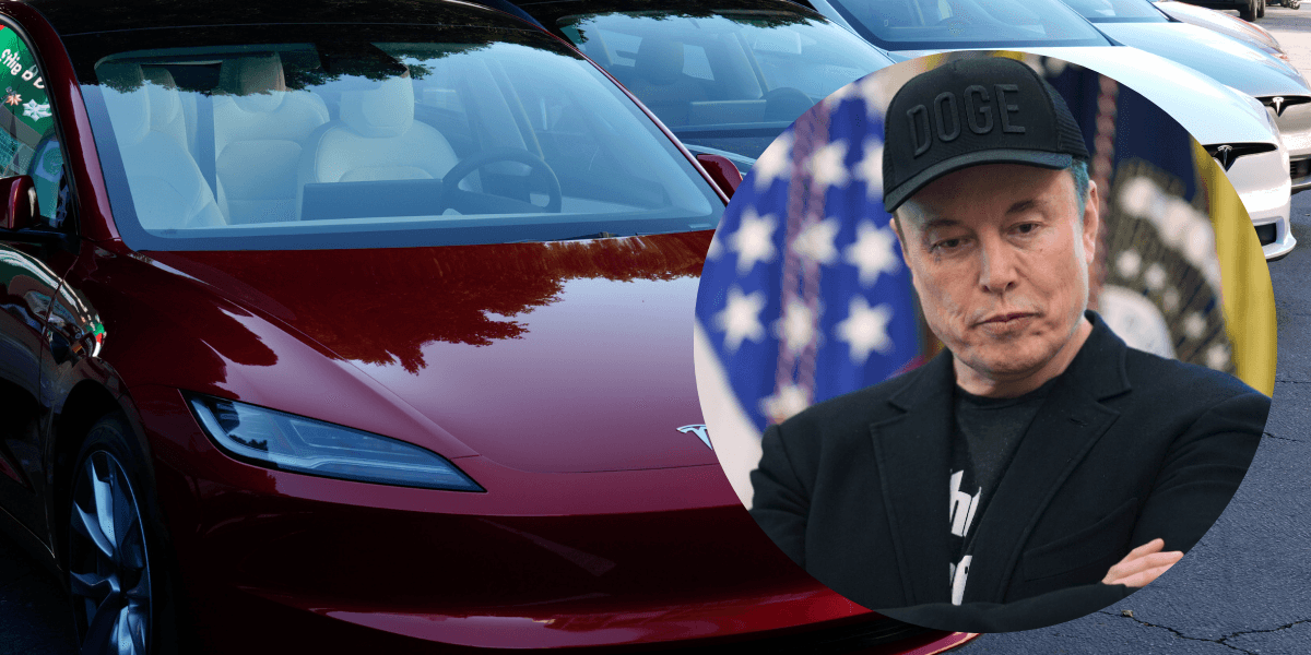Många turer om personalen på Tesla. (Foto: Evan Vucci och Damian Dovarganes/AP/TT)
