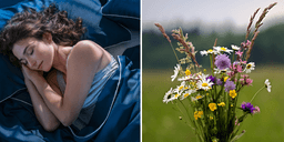 Plocka midsommarblommor – och träna hjärnan på köpet