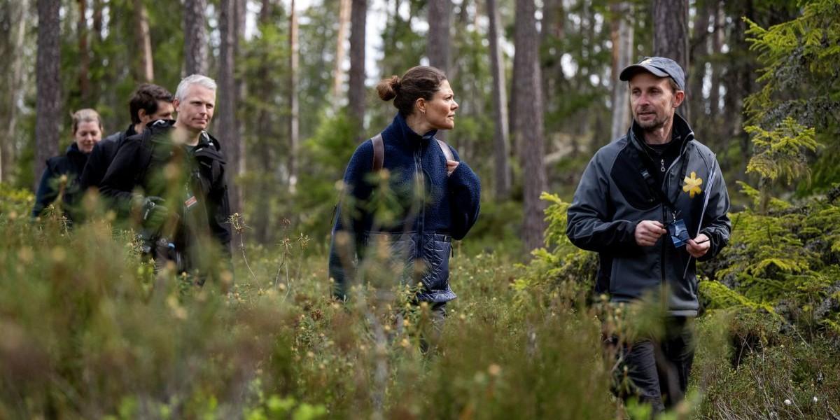 Säger nej till vindkraft trots elbrist