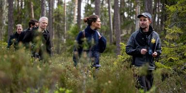 Säger nej till vindkraft trots elbrist