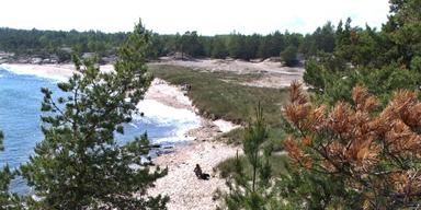 Vy över Utö i Stockholms skärgård, där mineralet petalit hittades och lade grunden till upptäckten av litium.