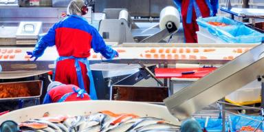 Norsk fiskexport slår rekord