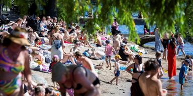 FI varnar för bedragare som erbjuder falska lån