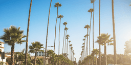 USA höjer avgifterna – att resa in blir dyrare än någonsin