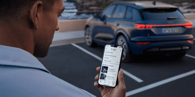 Audi Q8 SUV (Foto: Audi)