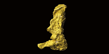 Världens största guldklimp – hittad med en helt vanlig metalldetektor. (Bild: Heritage Auctions)
