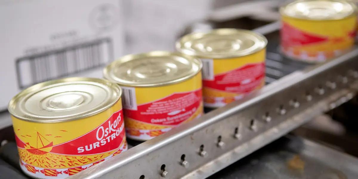 Större volymer av surströmming i år
