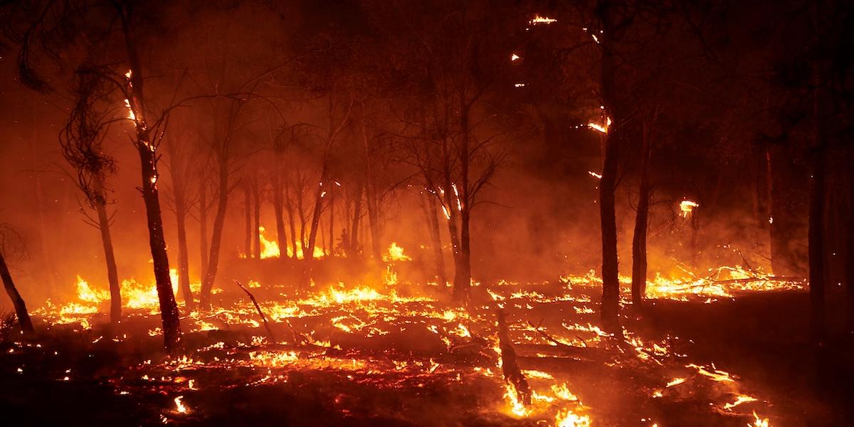 Lågorna slukar träden under skogsbranden i Carcastillo i norra Spanien.