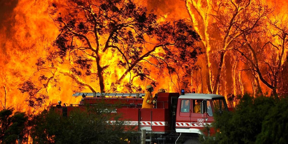 Volvo har lyckats få en stororder på brandbilar till Queensland, Australien, en av de platser i världen som ofta plågas av skogsbränder.