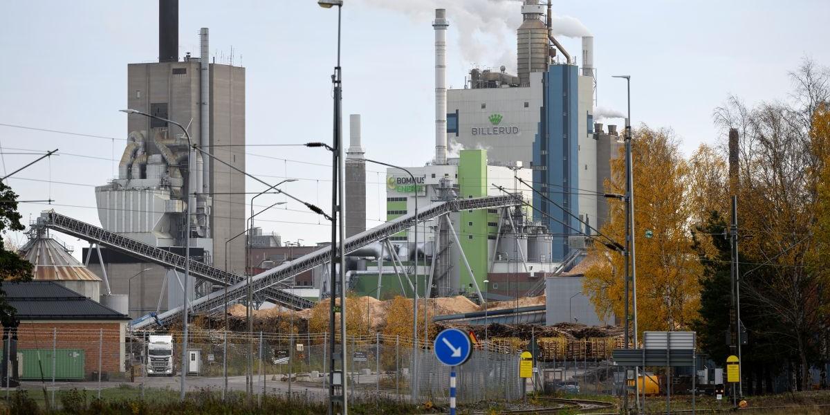Skär ner - var tionde får gå