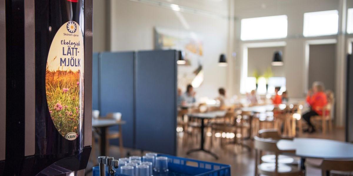 Lärare klagar över svåra arbetsförhållanden