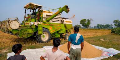 EKN vill hjälpa länder som Indien genom olika projekt, som även stöttar fossil industri.