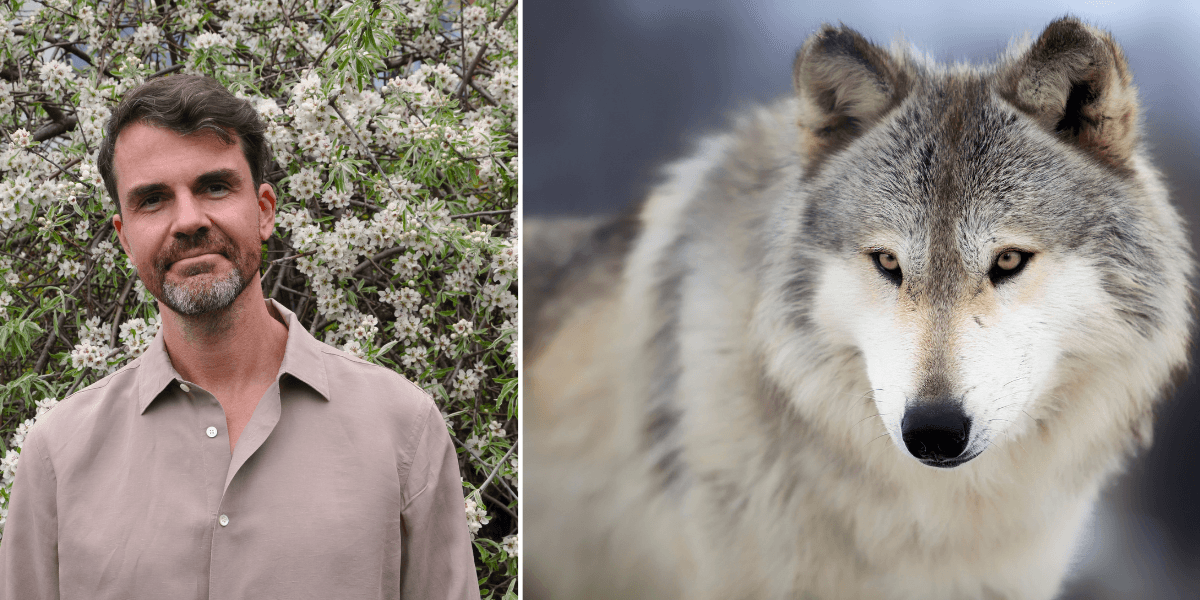 Misha Istratov, entreprenör och debattör inom hållbarhet