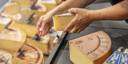 Gillar du ost? Bra! – Visar ny studie
