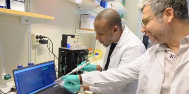 Joram Waititu, till vänster, och Kemal Avican, till höger arbetar tillsammans i Avican-labbet vid institutionen för molekylärbiologi, Umeå universitet. Deras forskning visar på nya sätt att bekämpa långvariga infektioner. (Foto: Gabrielle Beans)