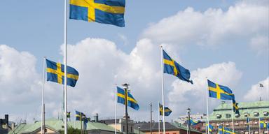 nyföretagande