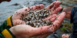 EU gör det tuffare för fartygstrafiken – förbjuder plastkulor