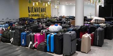 Hundar är bagage, enligt EU-domstolen
