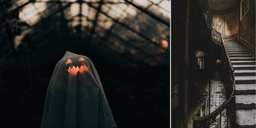 Skräckresor trendar: "Grät av rädsla – vill göra om det"