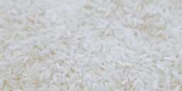 Från svält till världens lyxigaste ris