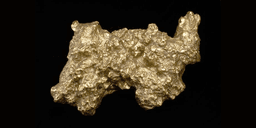 Guldklimp på 72 kilo låg bara 3 cm under ytan