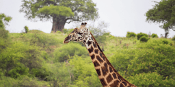 Sju platser i Sydafrika du måste uppleva