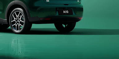 Vad ruvar bortom denna bakdel tro? (Foto: Wismo)