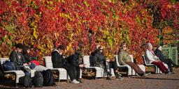 Här blomstrar – och dör – Europas företag